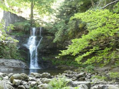 Parque Natural Sierra de Cebollera - Tierra de Cameros;selva de irati sierra de gredos la selva de i